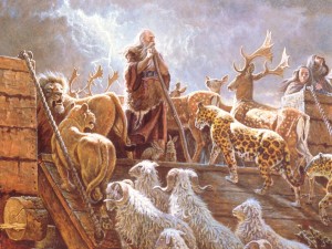 Noah