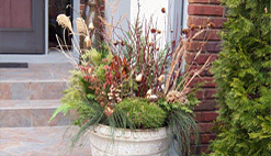 container and winter green arrangements