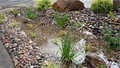 backyard and landscape grade solutions