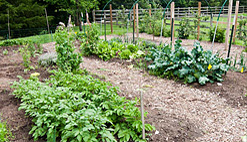 vegetable garden design ideas with install