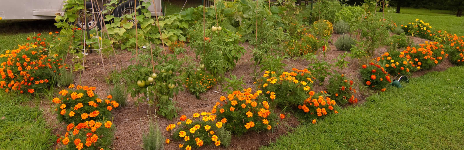 vegetable garden design ideas and installations