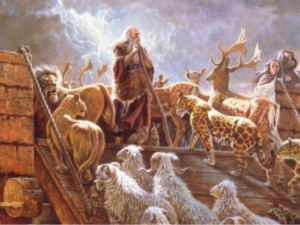 Noah's Ark Pic