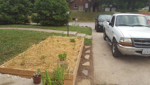 planting garden in June