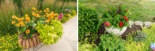 Landscape Containers